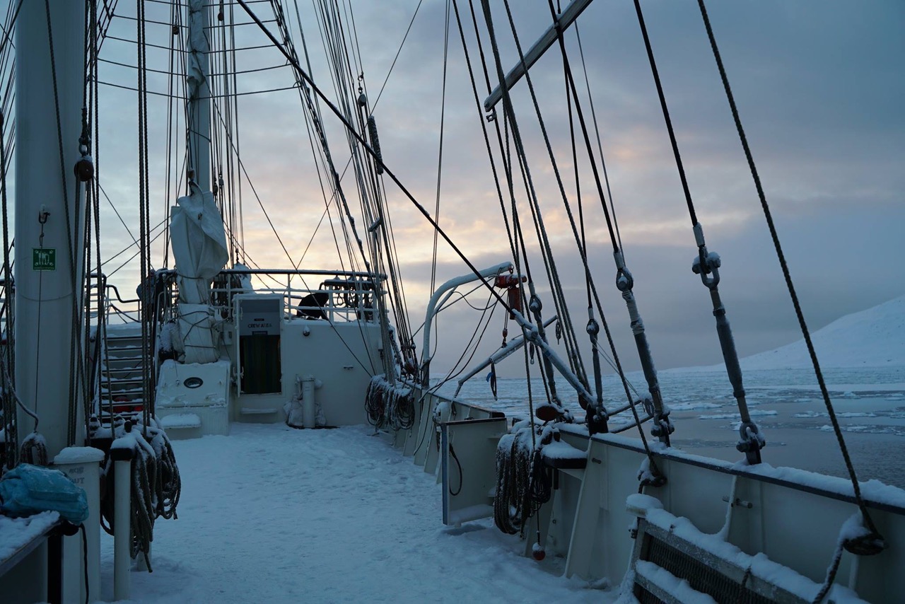 LETTERS FROM ... Lena von Goedeke in der Arktis 2 LETTERS FROM ... Lena von Goedeke in der Arktis 1