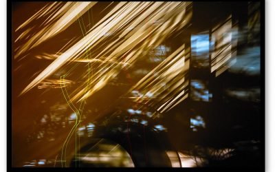 Martin Ogolter Tristes Tropiques archival inkjet print, 100 x 66cm, 2018