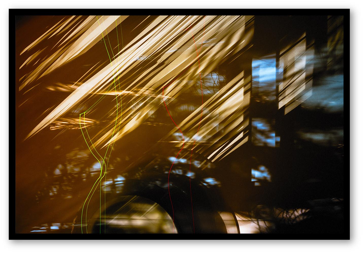 Martin Ogolter Tristes Tropiques archival inkjet print, 100 x 66cm, 2018