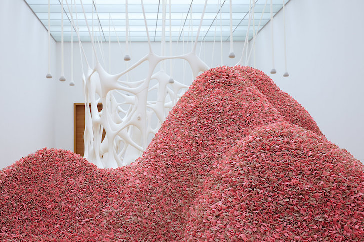 O tempo lento de corpo que é pele, 2014, Thyssen-Bornemisza Art Contemporary Collection, © Ernesto Neto, Foto: PUNCTUM/Alexander Schmidt O tempo lento de corpo que é pele, 2014, Thyssen-Bornemisza Art Contemporary Collection, © Ernesto Neto, Foto: PUNCTUM/Alexander Schmidt