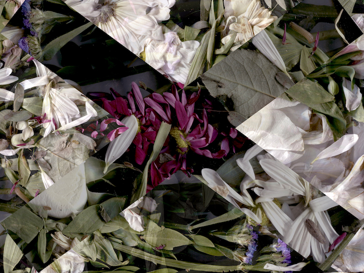 Alexey Shifman 14 Alexey Shifman 9