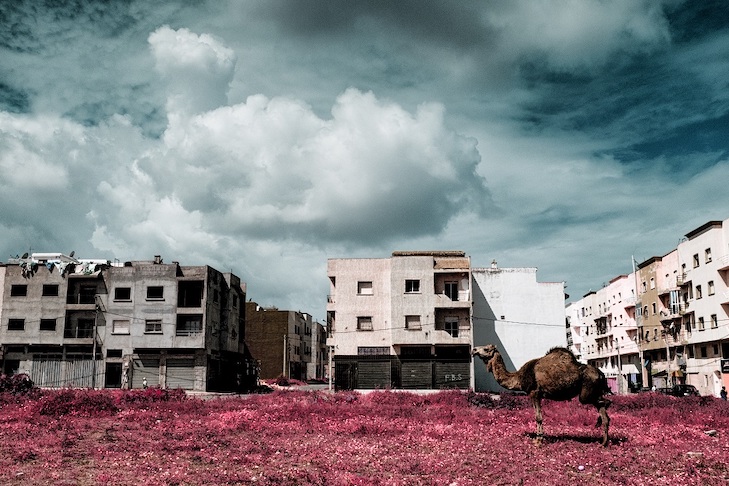 Alexey Shifman 16 Alexey Shifman 11