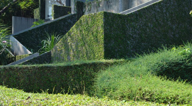 Guido Brancher 2 Guido Brancher, That curve is W(h)at Remains, 2019