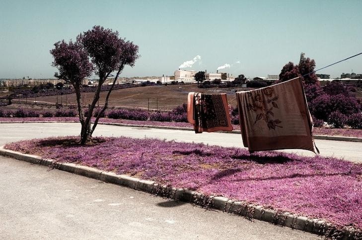 Alexey Shifman 2 Alexey Shifman 2