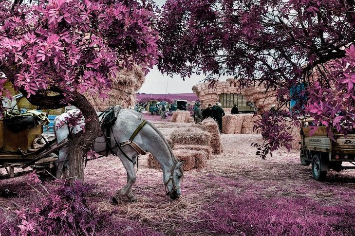 Alexey Shifman 19 Alexey Shifman 14