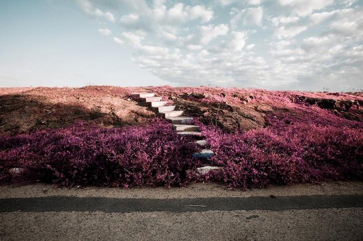 Alexey Shifman 3 Alexey Shifman 3