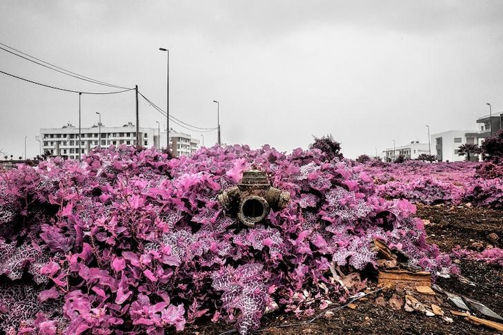 Alexey Shifman 17 Alexey Shifman 12