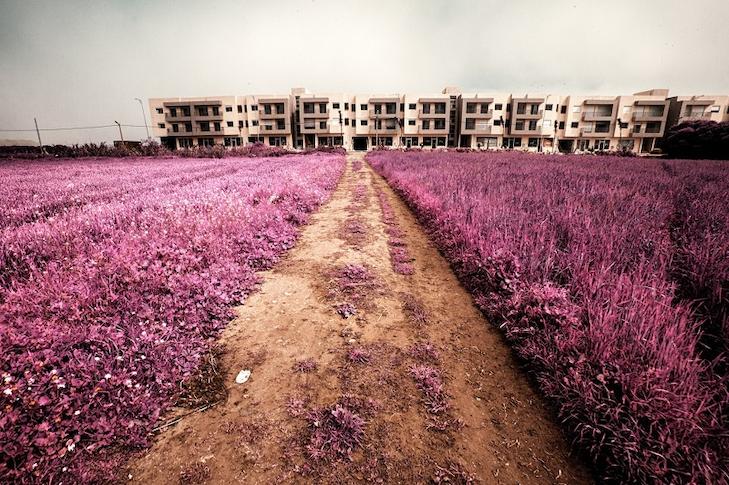 Alexey Shifman 18 Alexey Shifman 13