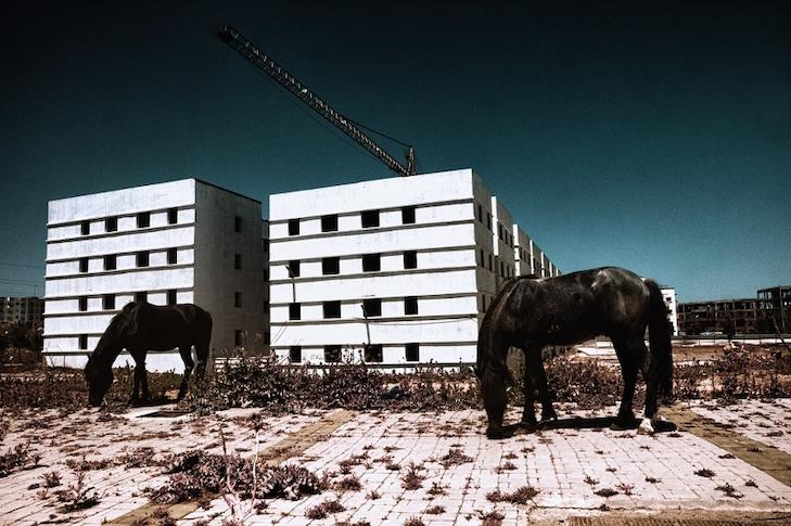 Alexey Shifman 4 Alexey Shifman 4