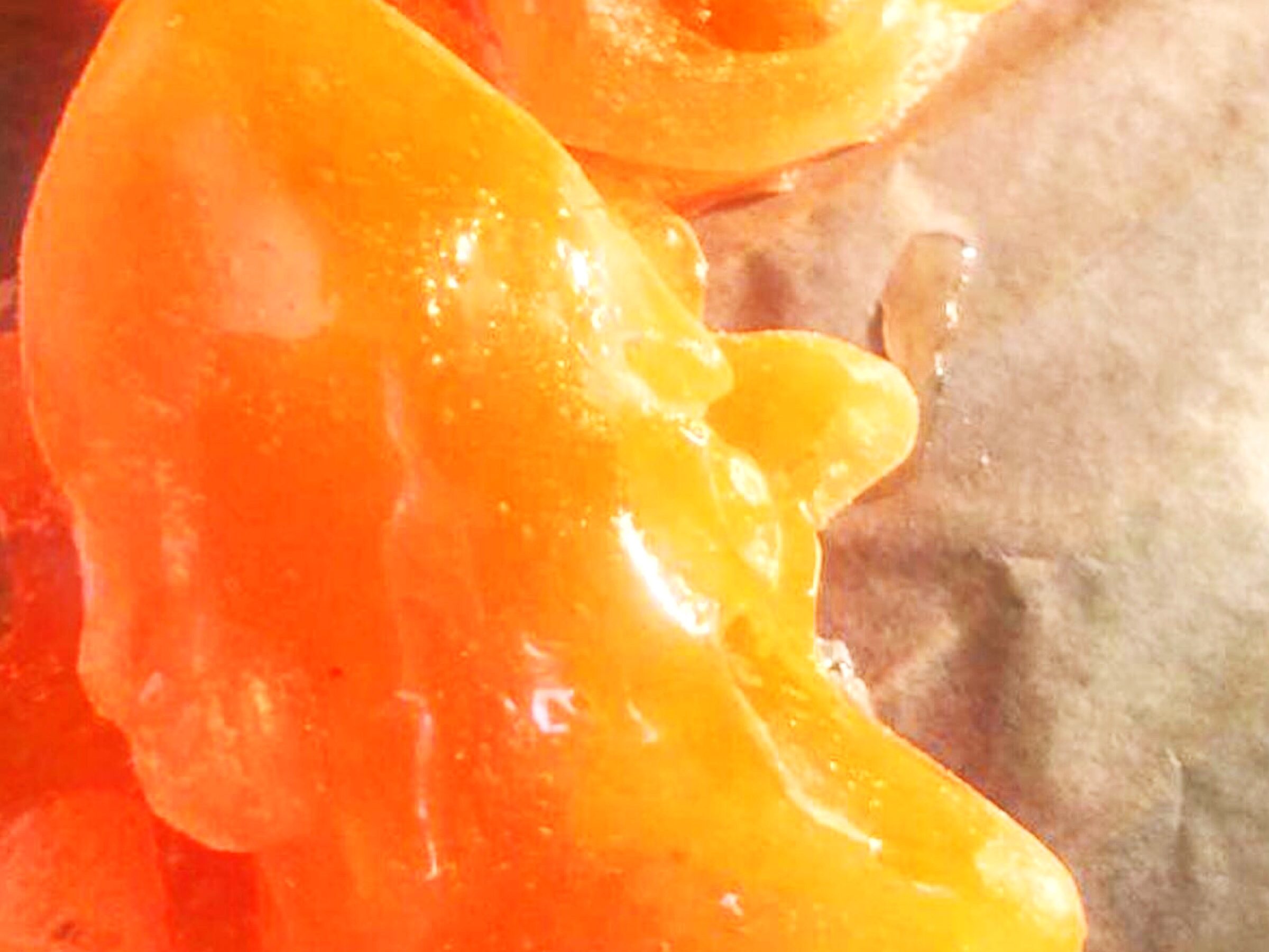 Edie Monetti, Rahel Gorten & Alexander Warhus 14 Edie Monetti, Rahel Gorten & Alexander Warhus 14