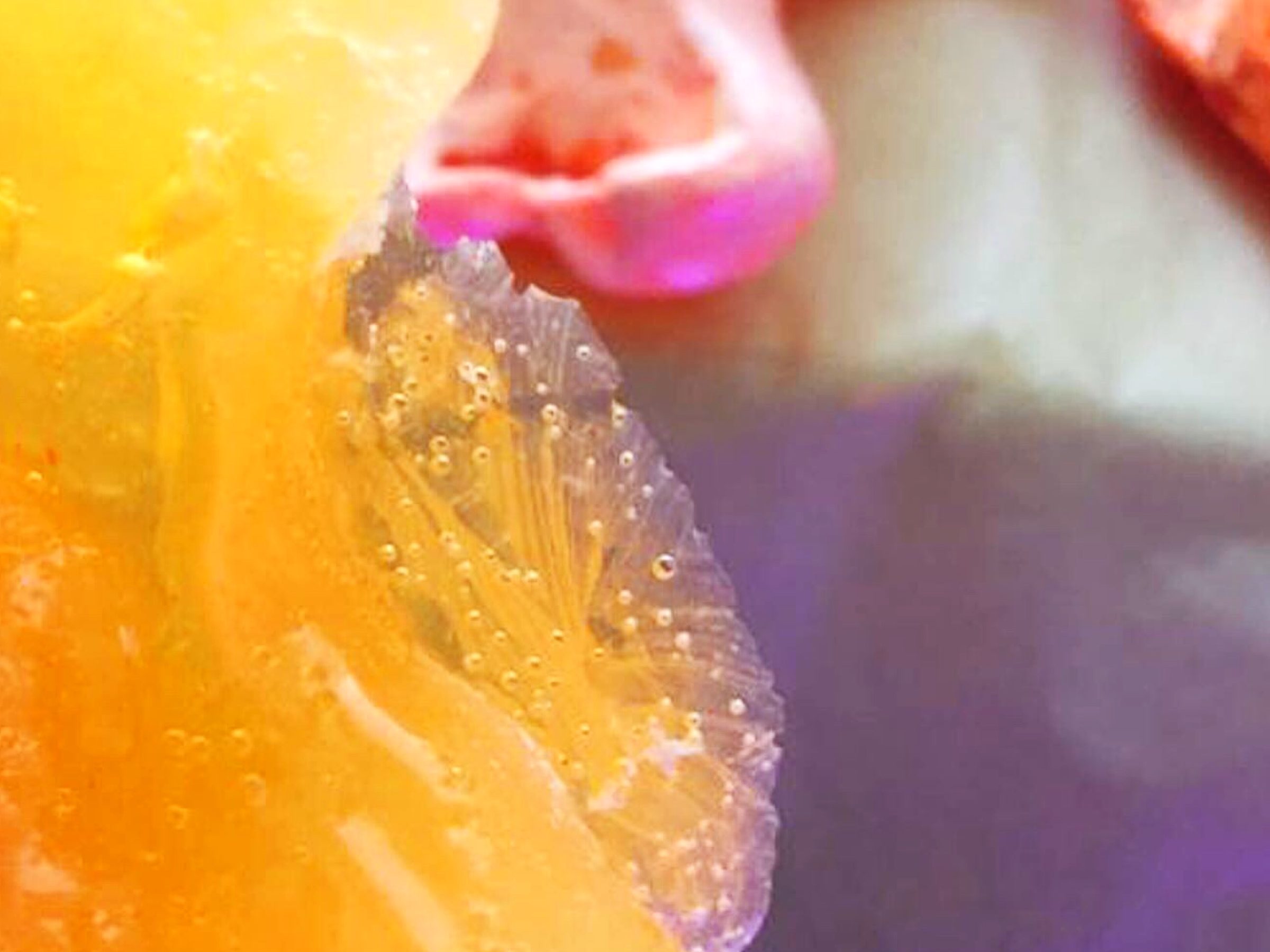 Edie Monetti, Rahel Gorten & Alexander Warhus 13 Edie Monetti, Rahel Gorten & Alexander Warhus 13