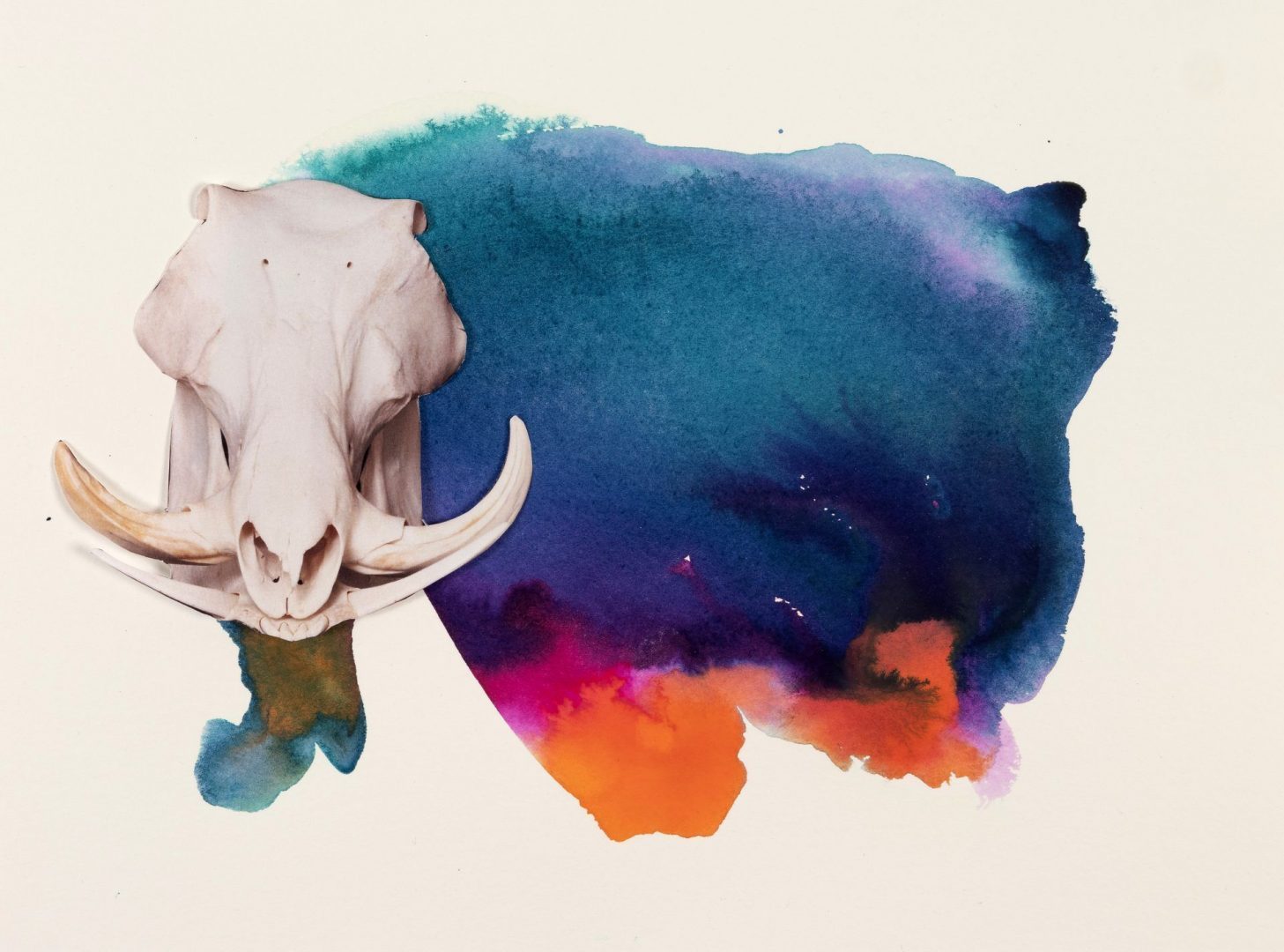 Maria Thurn und Taxis 1