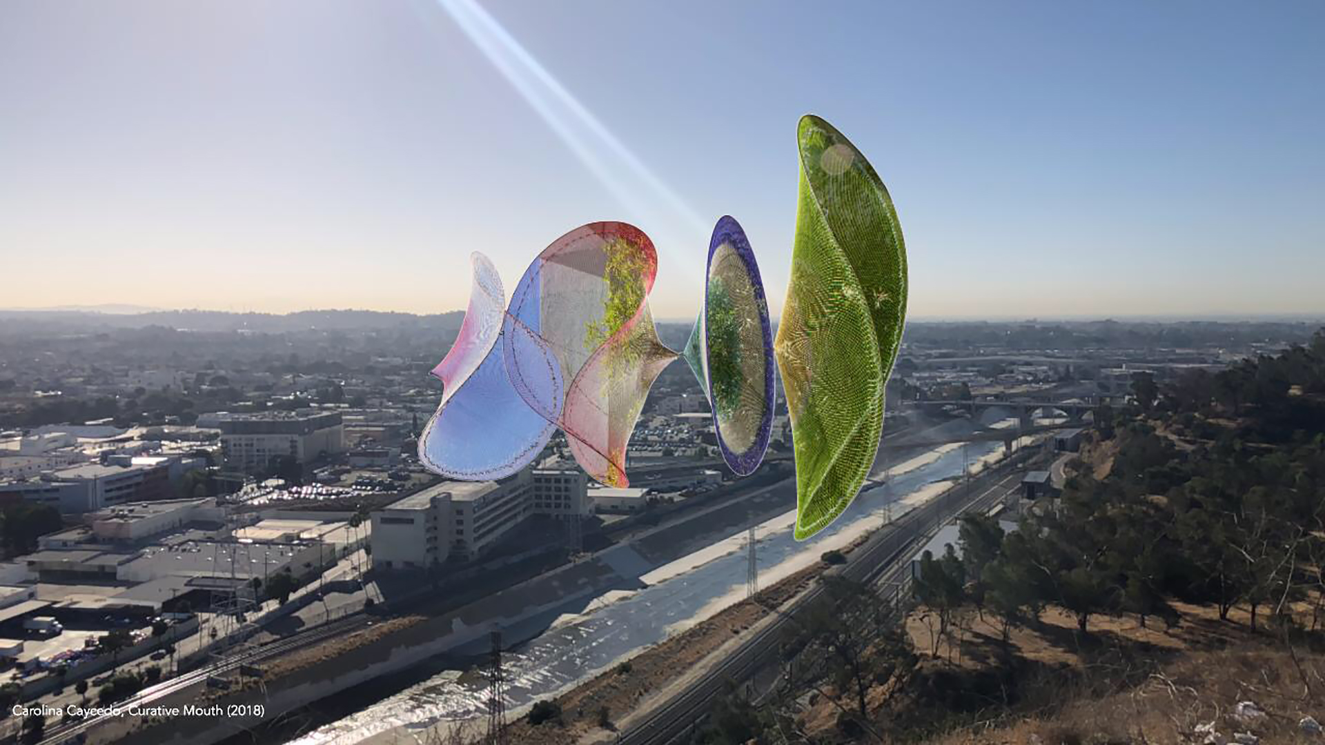 Art et activisme: NANCY BAKER CAHILL + Coordinates projet 7 Carolina Caycedo, Curative Mouth, 2018, Los Angeles, CA (Defining Line)