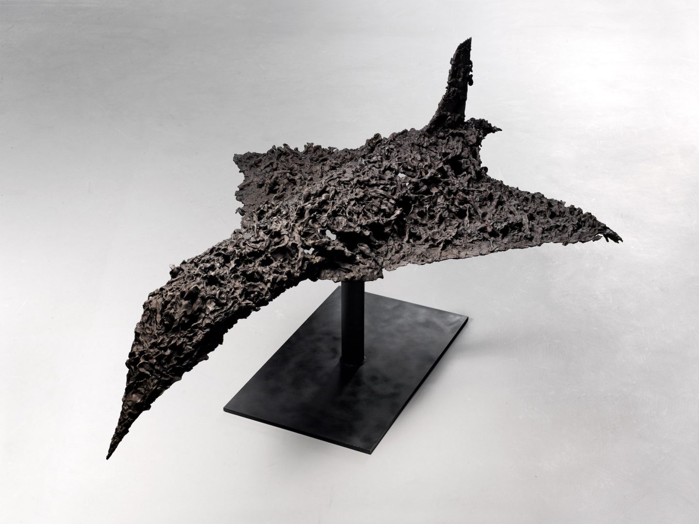 Eigenbedarf 10 Eigenbedarf 9