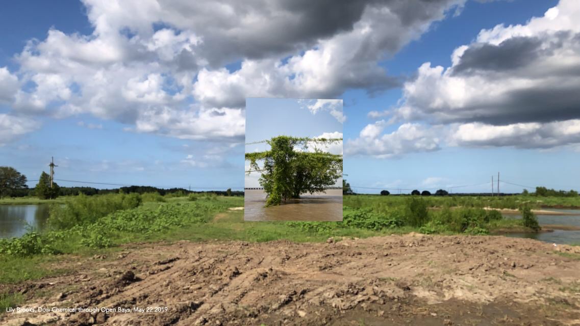 Battlegrounds in New Orleans 3 Lily Brooks, Kudzu and Tree near Site of Kugler Cemetery, May 22, 2019
The Battlegrounds in New Orleans
an augmented reality (AR) exhibition