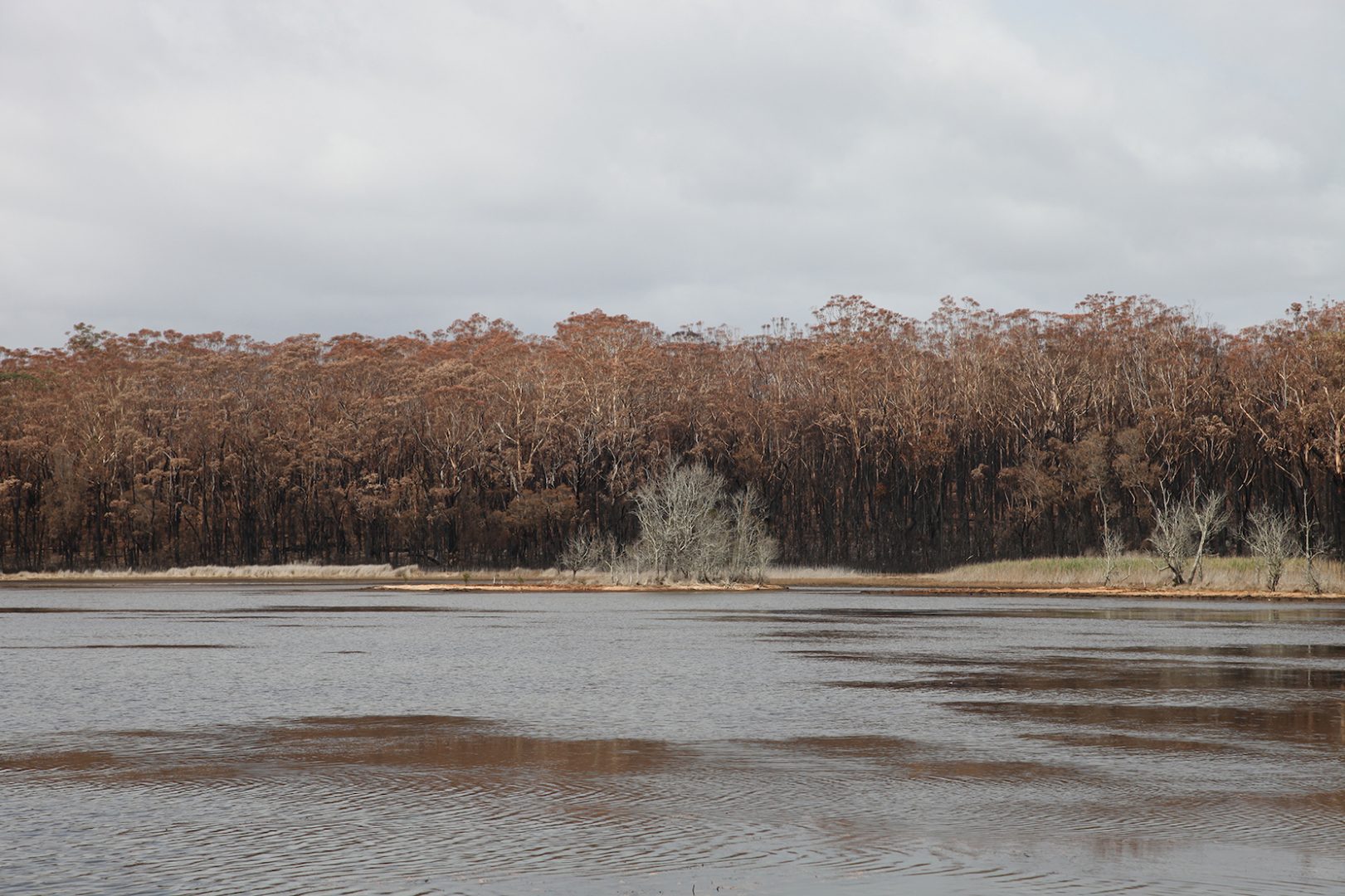 HAYDEN FOWLER 16 HAYDEN FOWLER 9