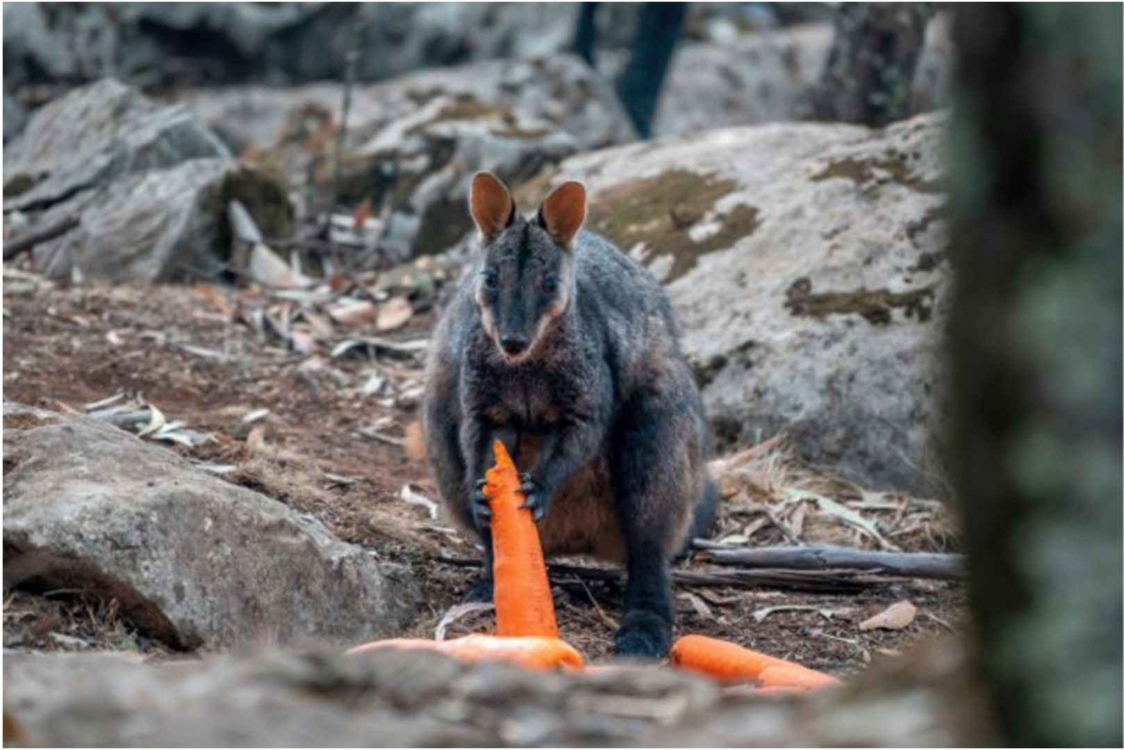 HAYDEN FOWLER 18 HAYDEN FOWLER 11