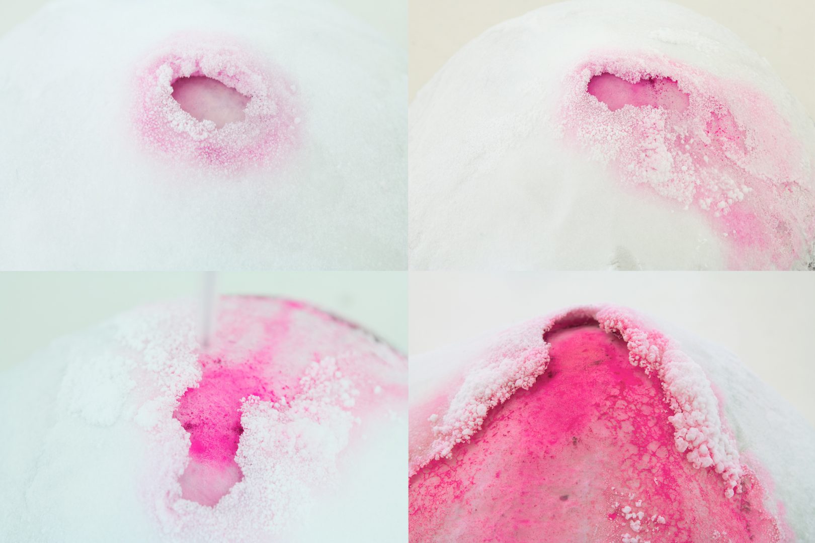 Installation view and Documentation of the Process. Solo exhibition 2017: ‘Garden' at Reykjavík Art Museum. Photo Courtesy of the Artist 