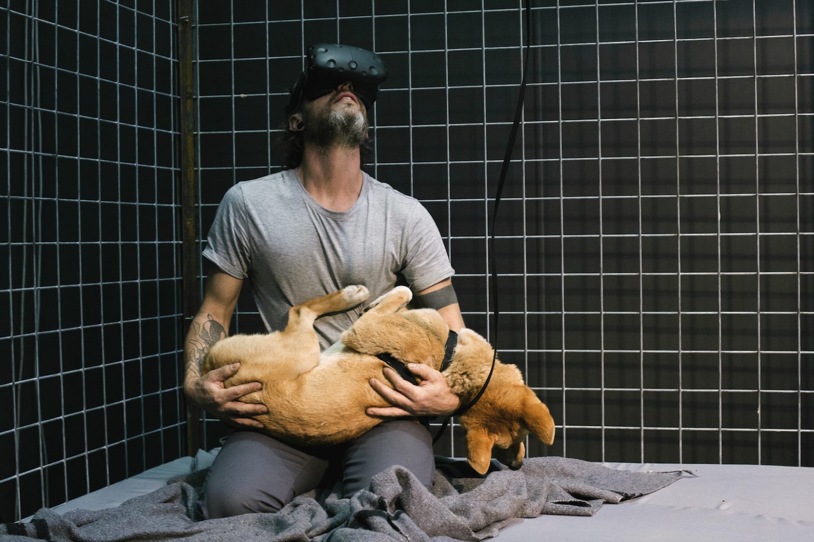 HAYDEN FOWLER 3 Hayden Fowler, Together Again