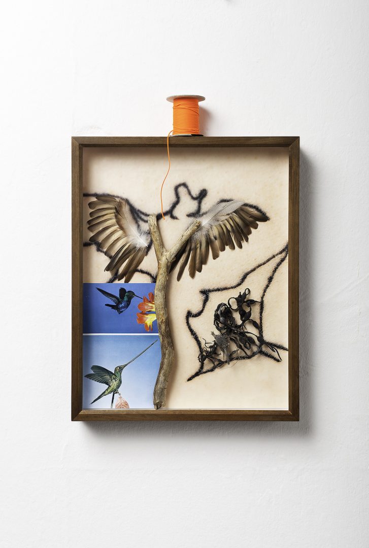 HELGA SCHMIDHUBER 10 HELGA SCHMIDHUBER 6