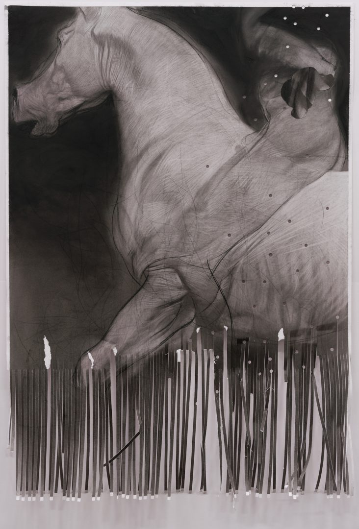 RUPRECHT VON KAUFMANN 17 RUPRECHT VON KAUFMANN 12