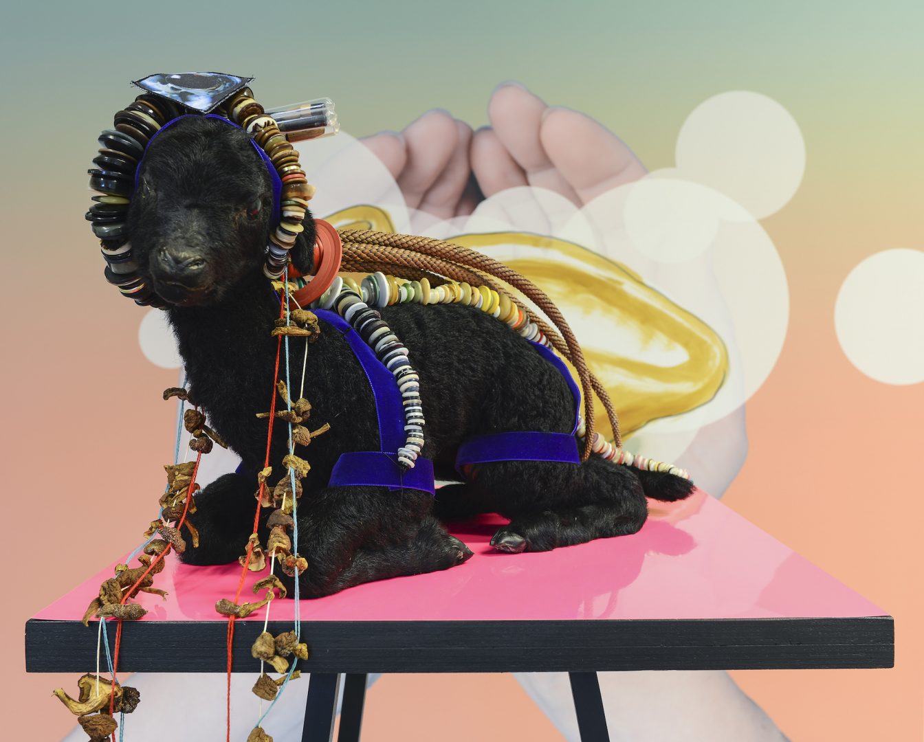 HELGA SCHMIDHUBER 2 Helga Schmidhuber, o.T. aus der Serie „Felle", 2017, photo credit: Holger Schmidhuber