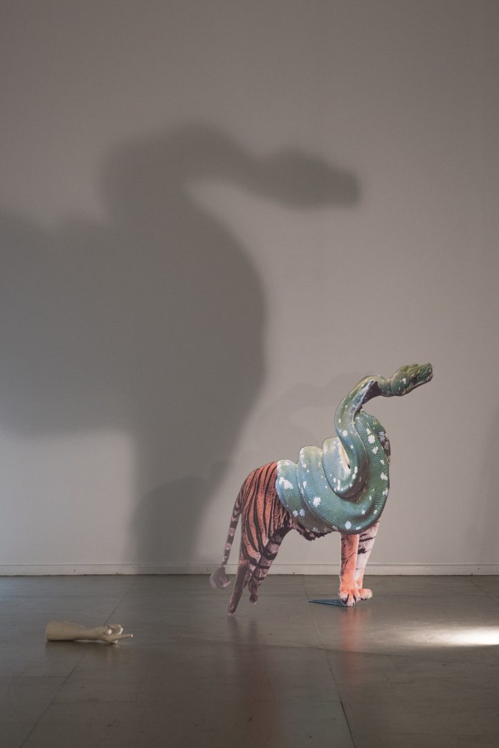 IGOR VIDOR 8 IGOR VIDOR 6