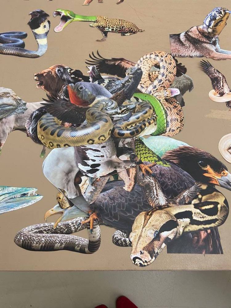 IGOR VIDOR 2 IGOR VIDOR 2