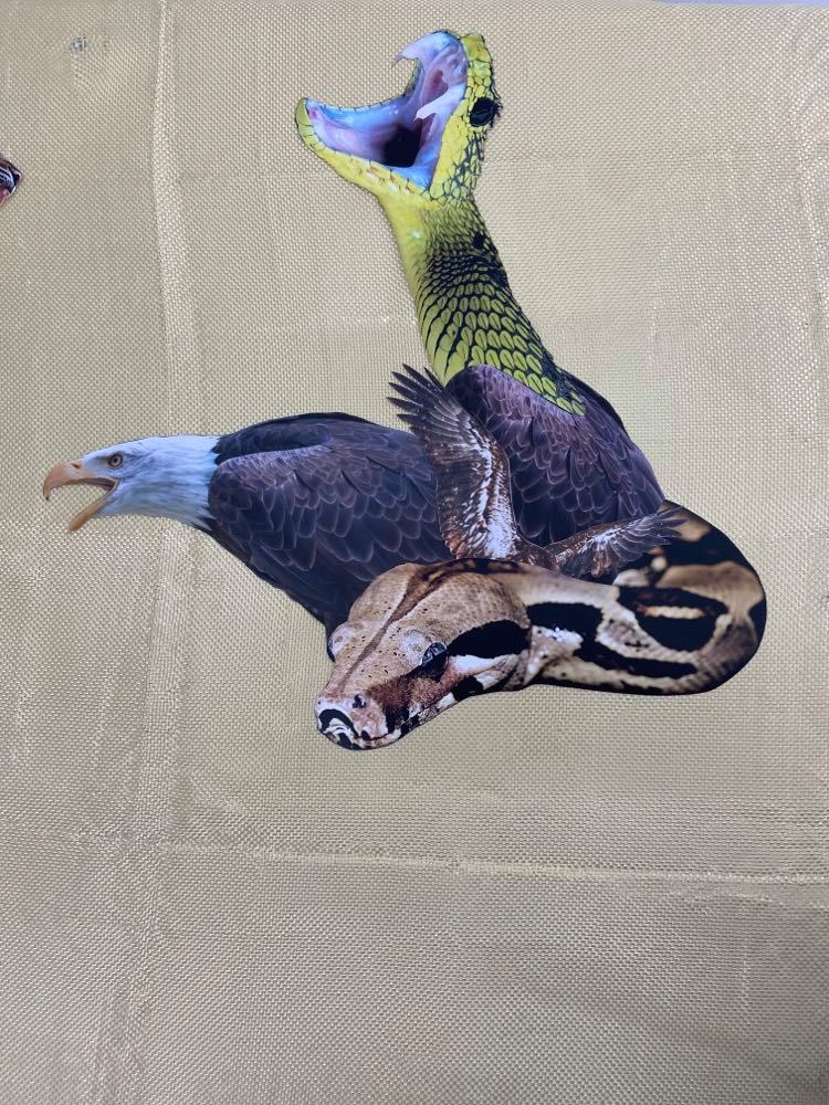 IGOR VIDOR 17 IGOR VIDOR 14