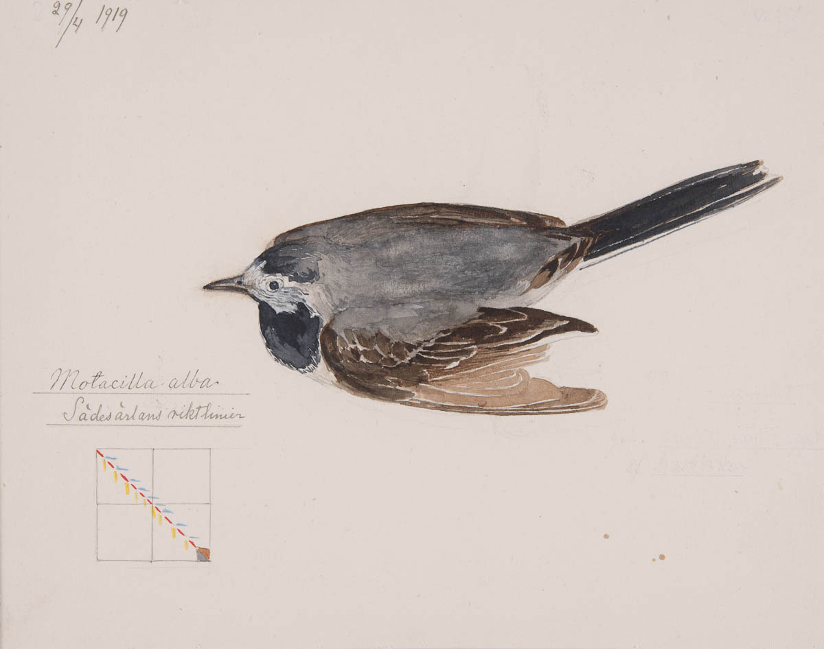 © The Hilma Foundation of Klint's Works
