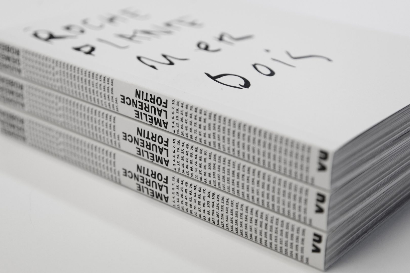 AMÉLIE LAURENCE FORTIN 4 Amélie Laurence Fortin, Roche Plante Mer Bois. Photo courtesy of Charles-Frédérick Ouellet