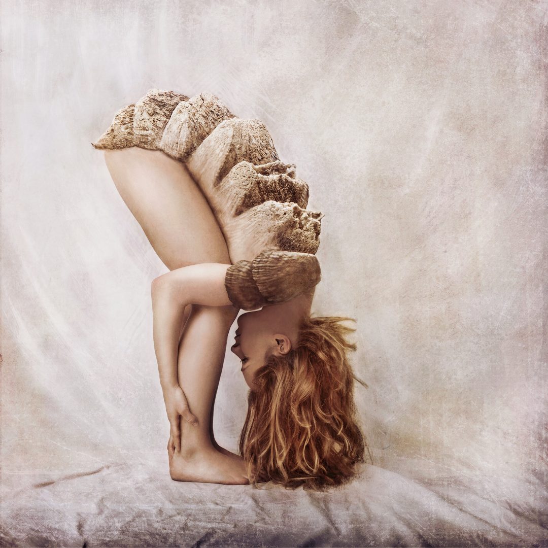 NATALIE FIELD 10 NATALIE FIELD 5