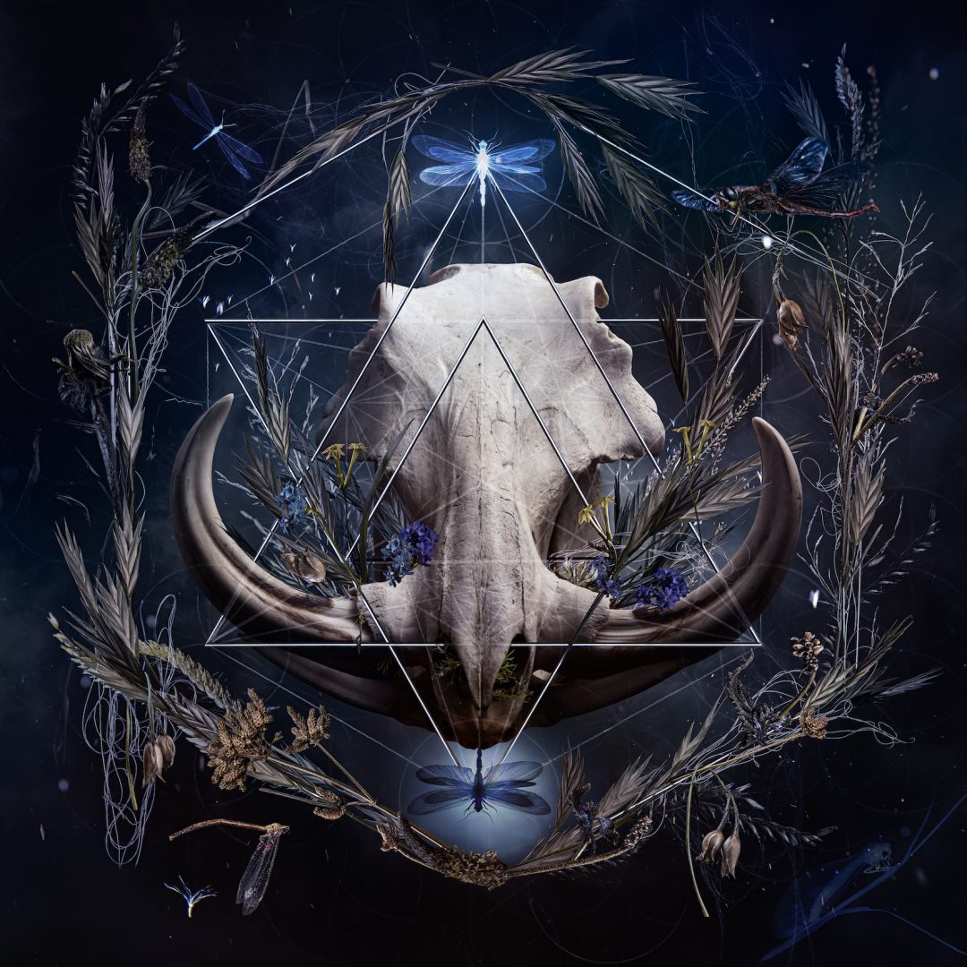 NATALIE FIELD 11 Natalie Field, Guardian of the Grasslands, 2019, Edition of 3, 1500 x 1500 mm, Ilford Smooth Cotton Rag