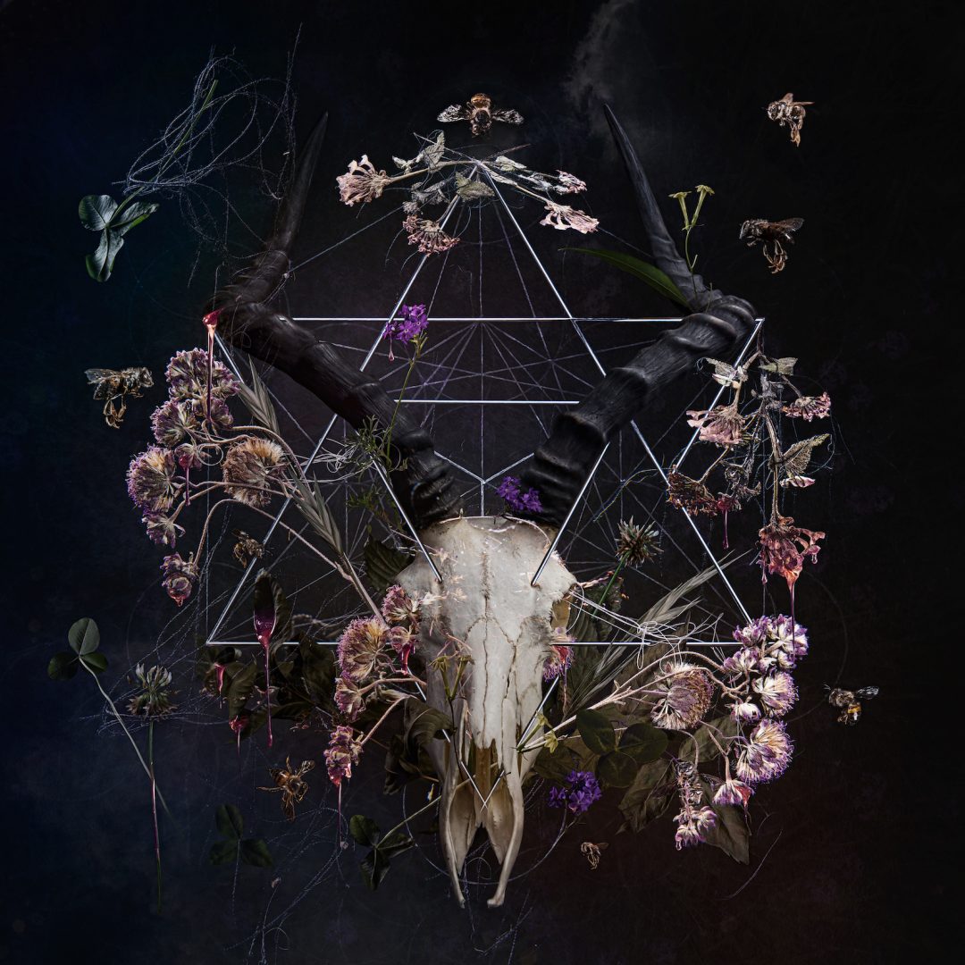 NATALIE FIELD 12 NATALIE FIELD 6