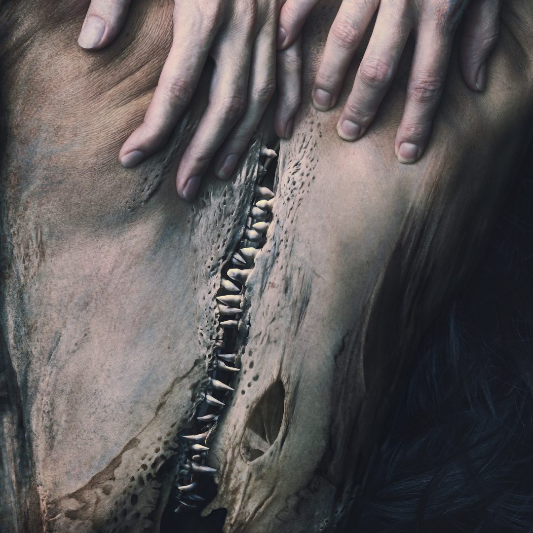 NATALIE FIELD 8 NATALIE FIELD 3