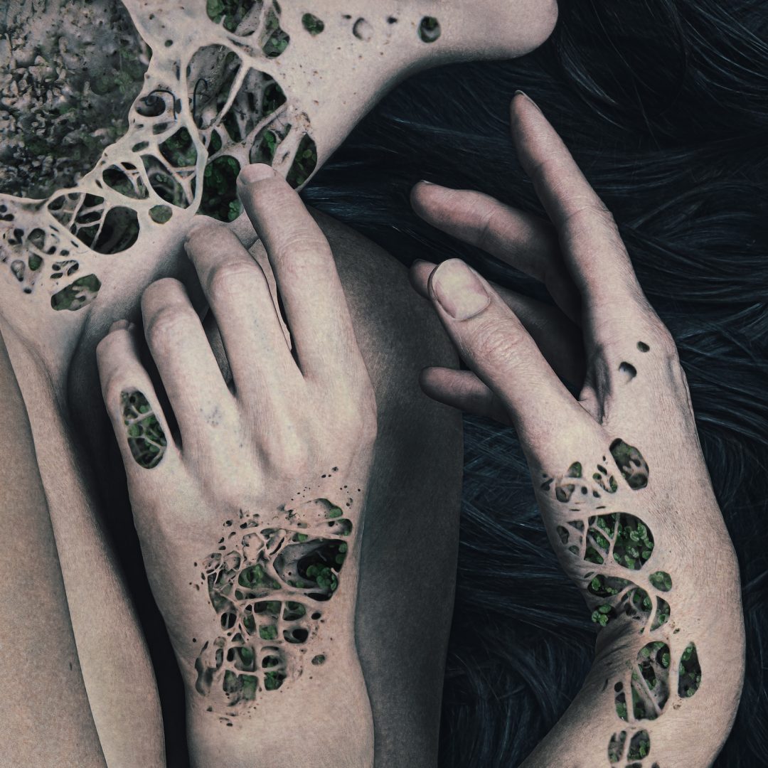 NATALIE FIELD 7 NATALIE FIELD 2