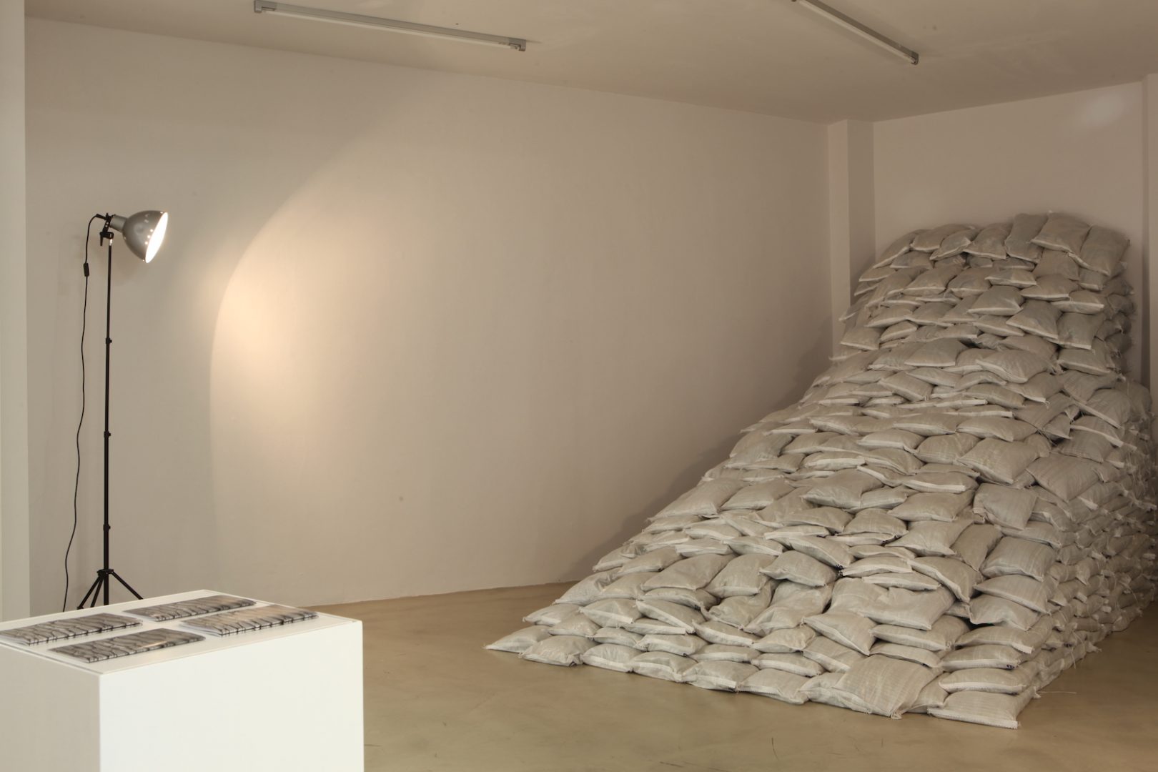 TALYA LUBINSKY 5 Talya Lubinsky, Floating Bodies. Exhibition at Iwalewahaus, University of Bayreuth, 2017