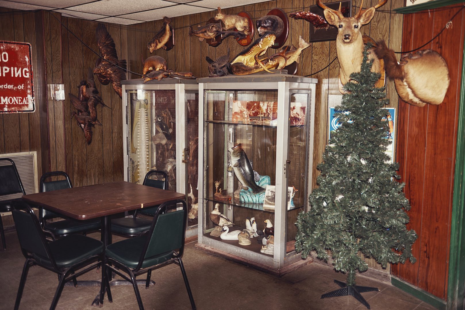 KOURTNEY ROY 3 Kourtney Roy, Je bois, Nouvelle-Orléans