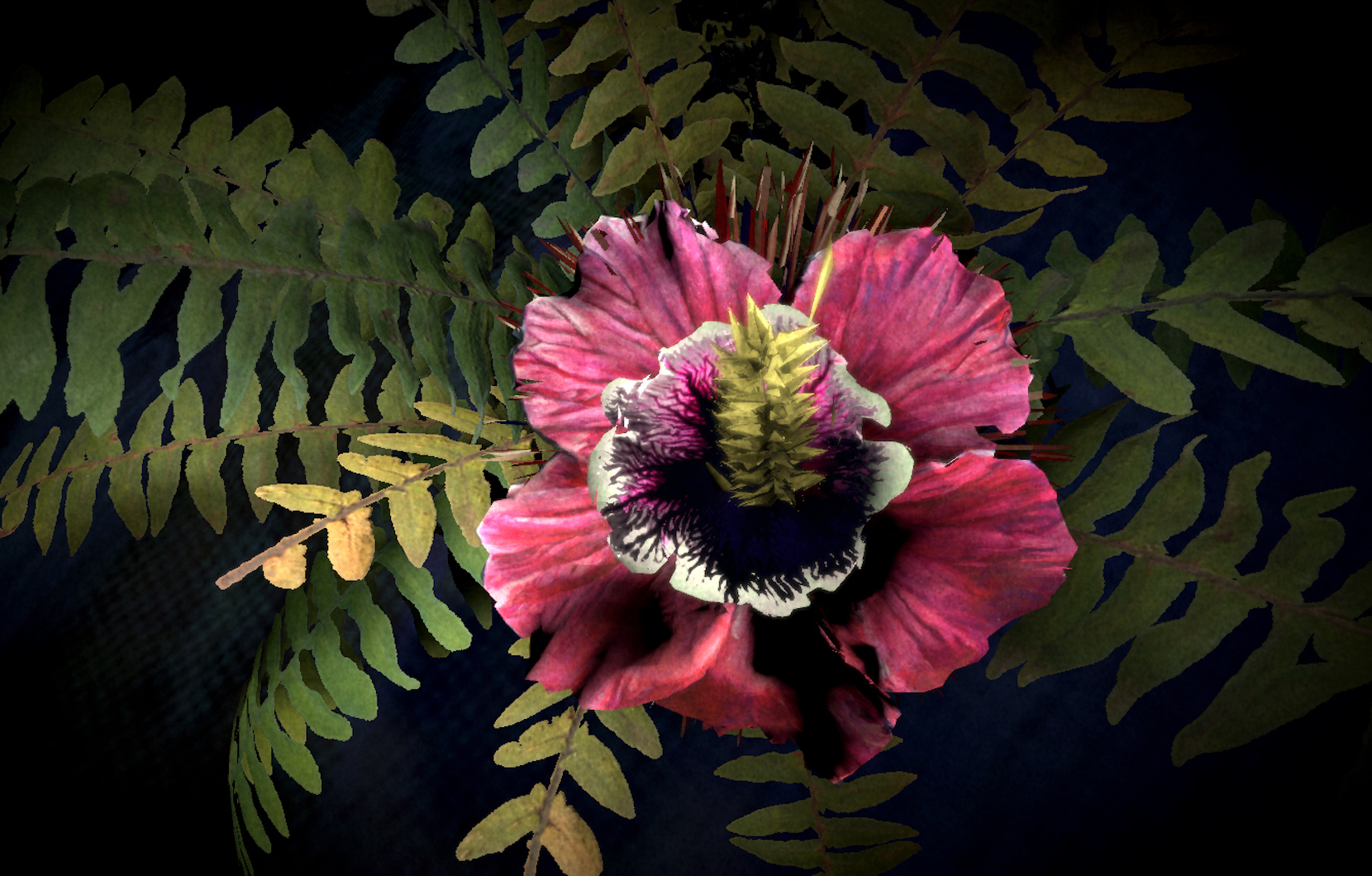 Lauren Moffatt, Of Hybrids and Strings -Flowers for Suzanne Clair 