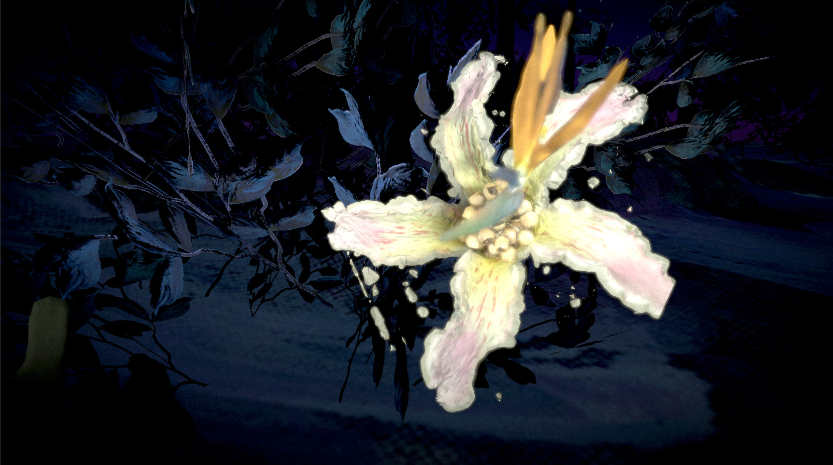 Lauren Moffatt, Of Hybrids and Strings, Flowers for Suzanne Clair