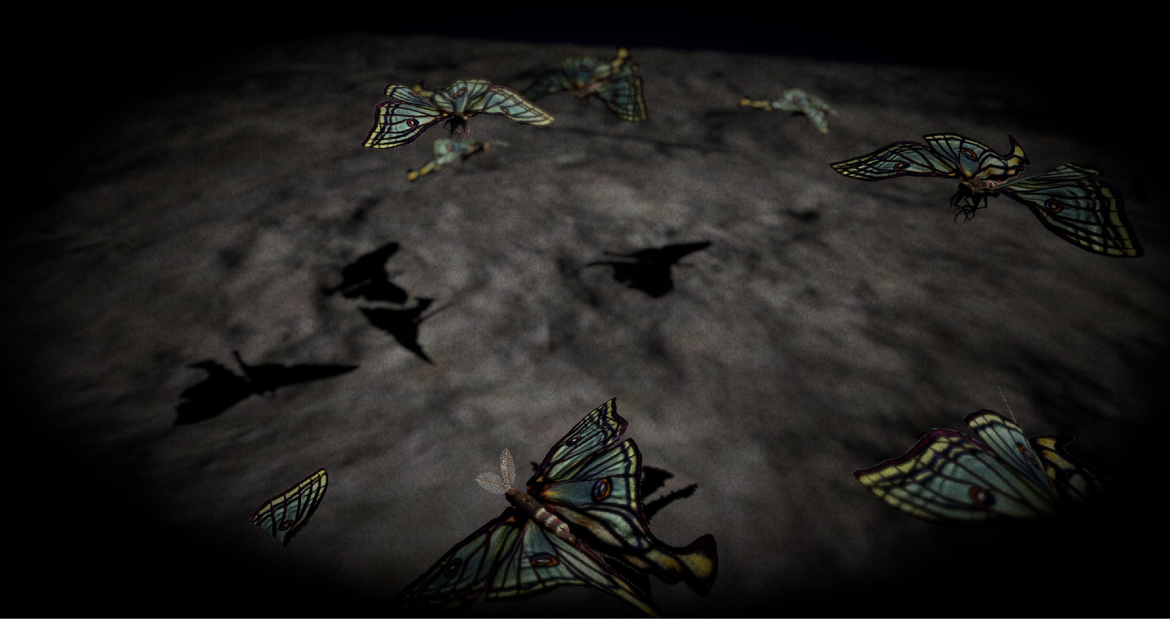 Lauren Moffatt, Of Hybrids and Strings, Flowers for Suzanne Clair, 2020