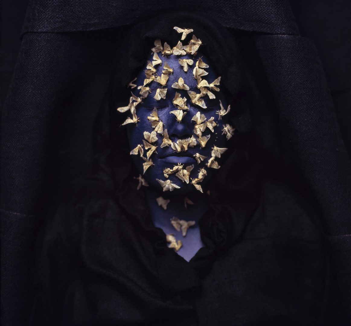 SHOUFAY DERZ 11 SHOUFAY DERZ 10