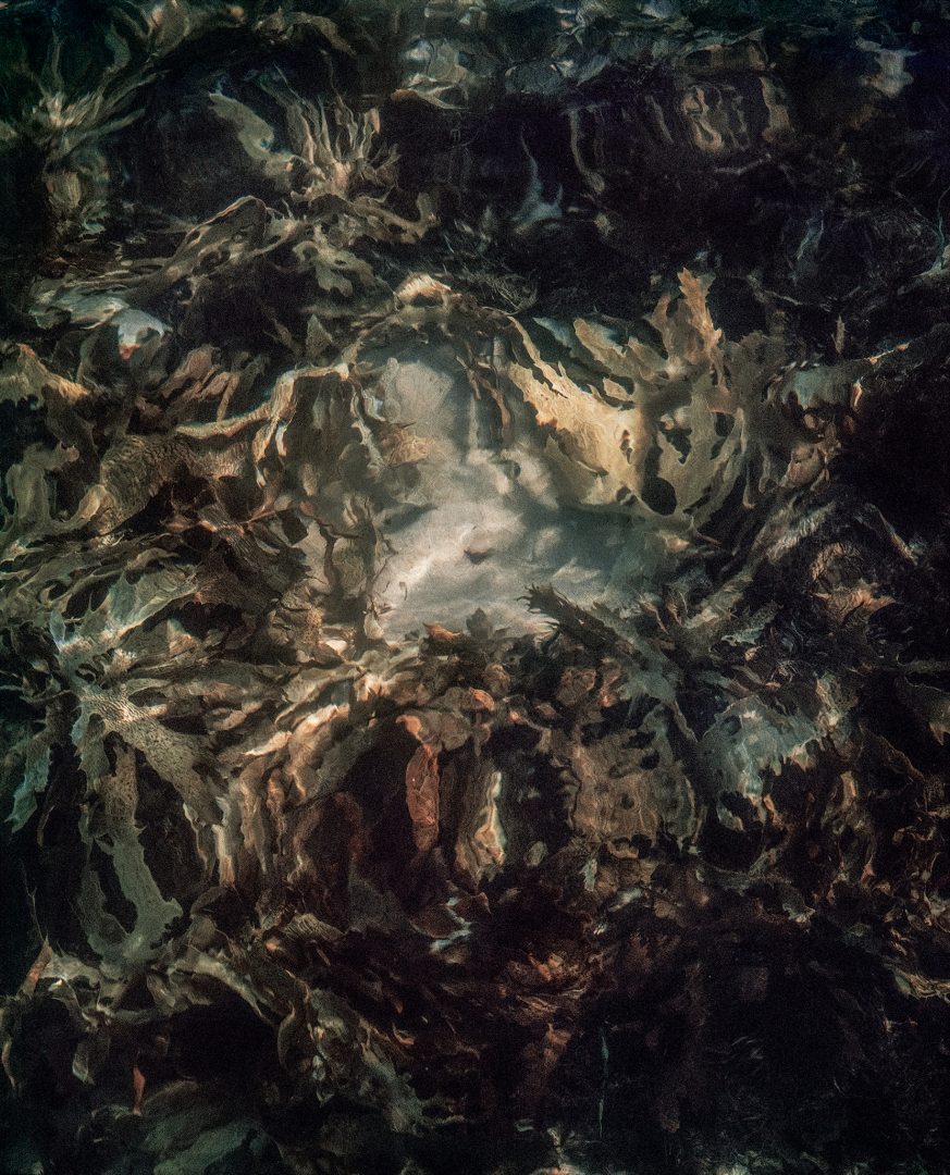 SHOUFAY DERZ 13 SHOUFAY DERZ 12