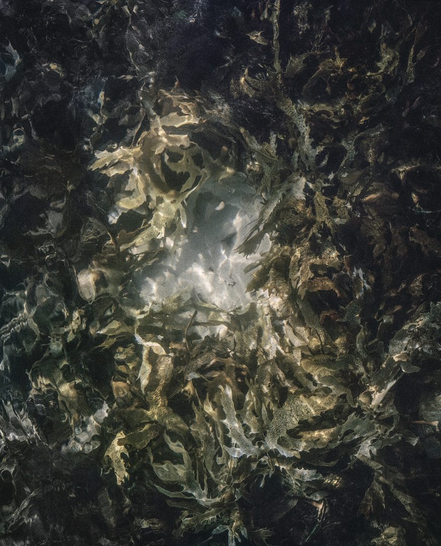 SHOUFAY DERZ 12 SHOUFAY DERZ 11