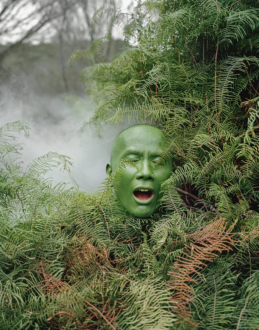 SHOUFAY DERZ 8 SHOUFAY DERZ 8