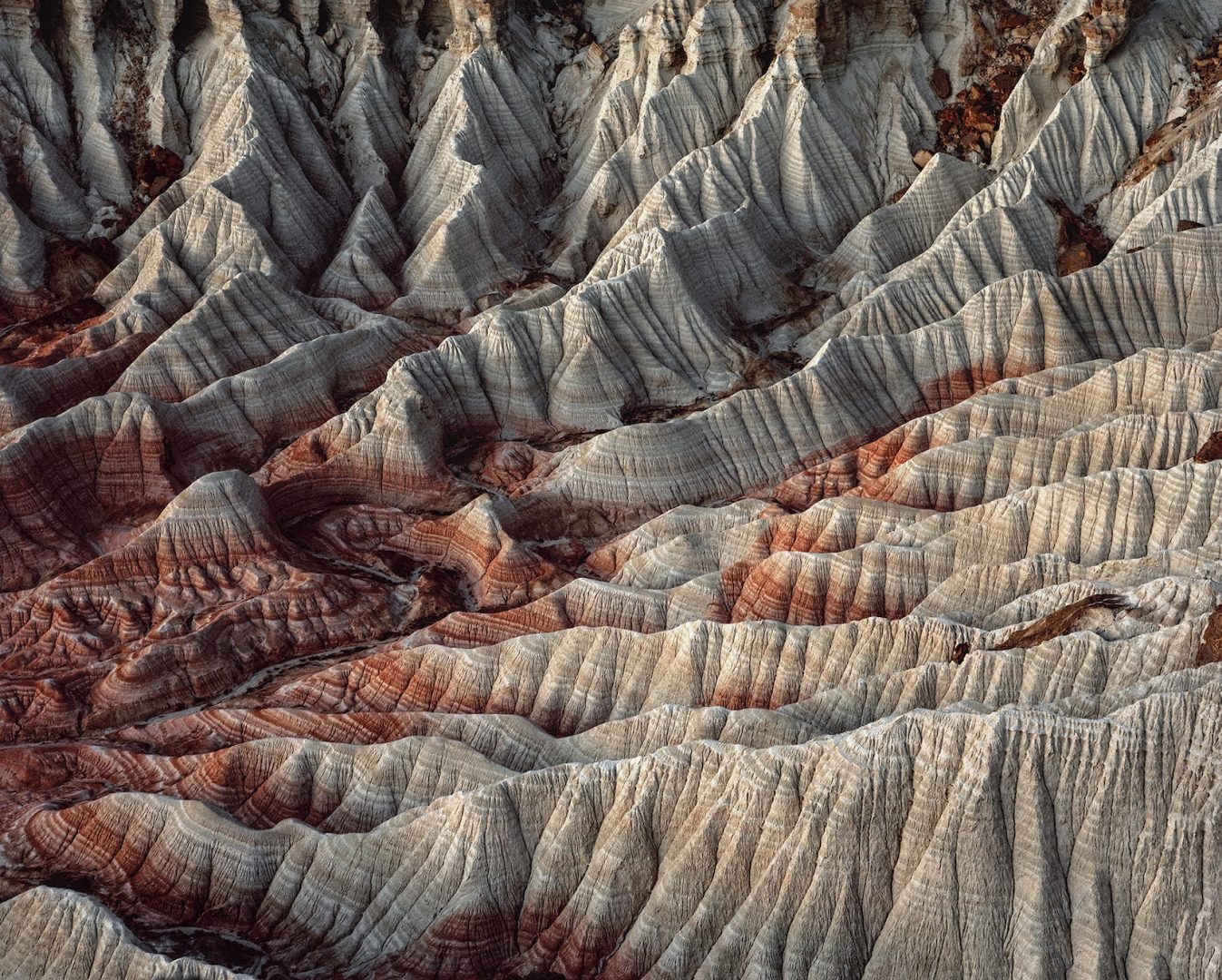 SHOUFAY DERZ 14 SHOUFAY DERZ 13