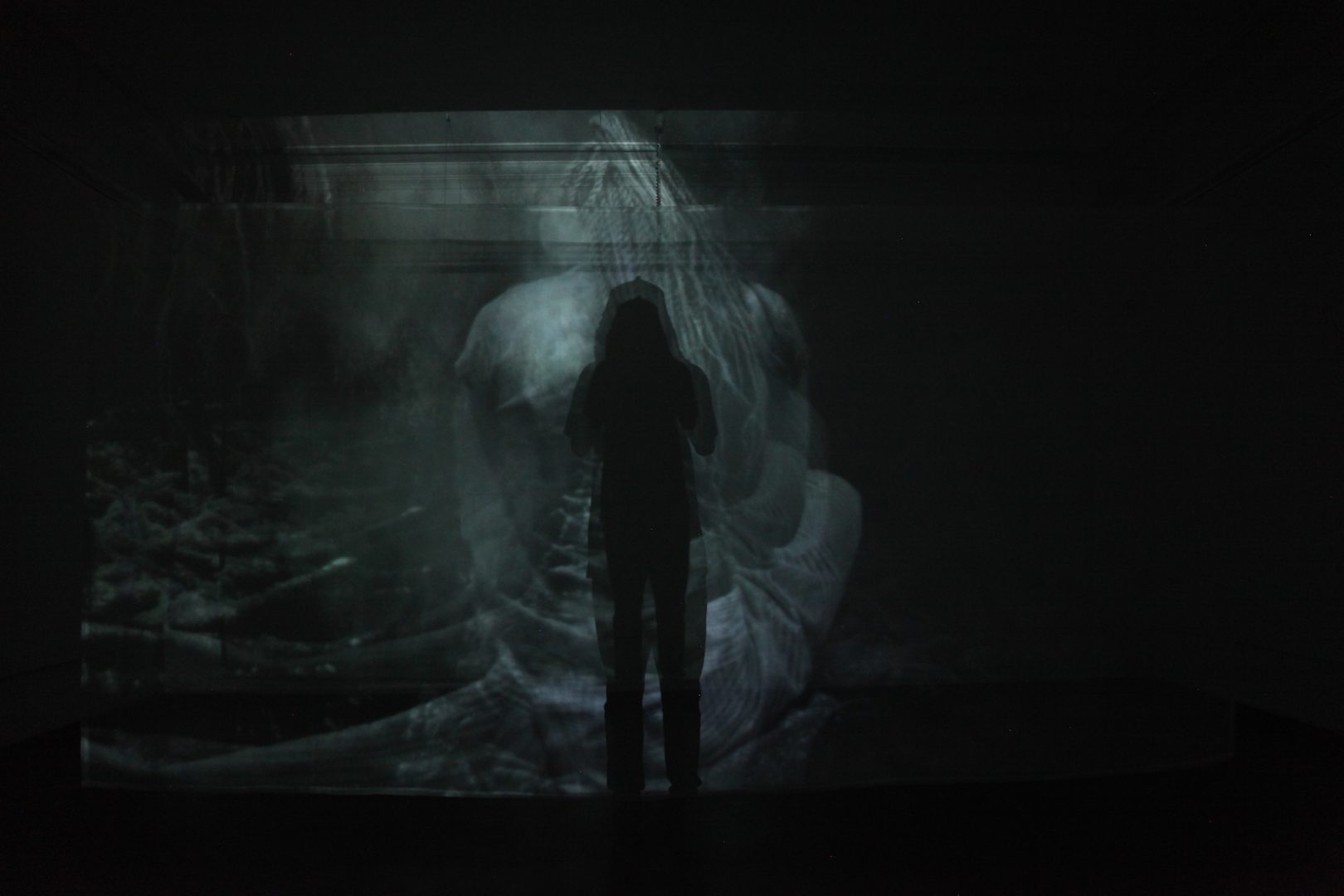 Gladys Kalichini, ChaMoneka: UnCasting Shadows, 2017, video 