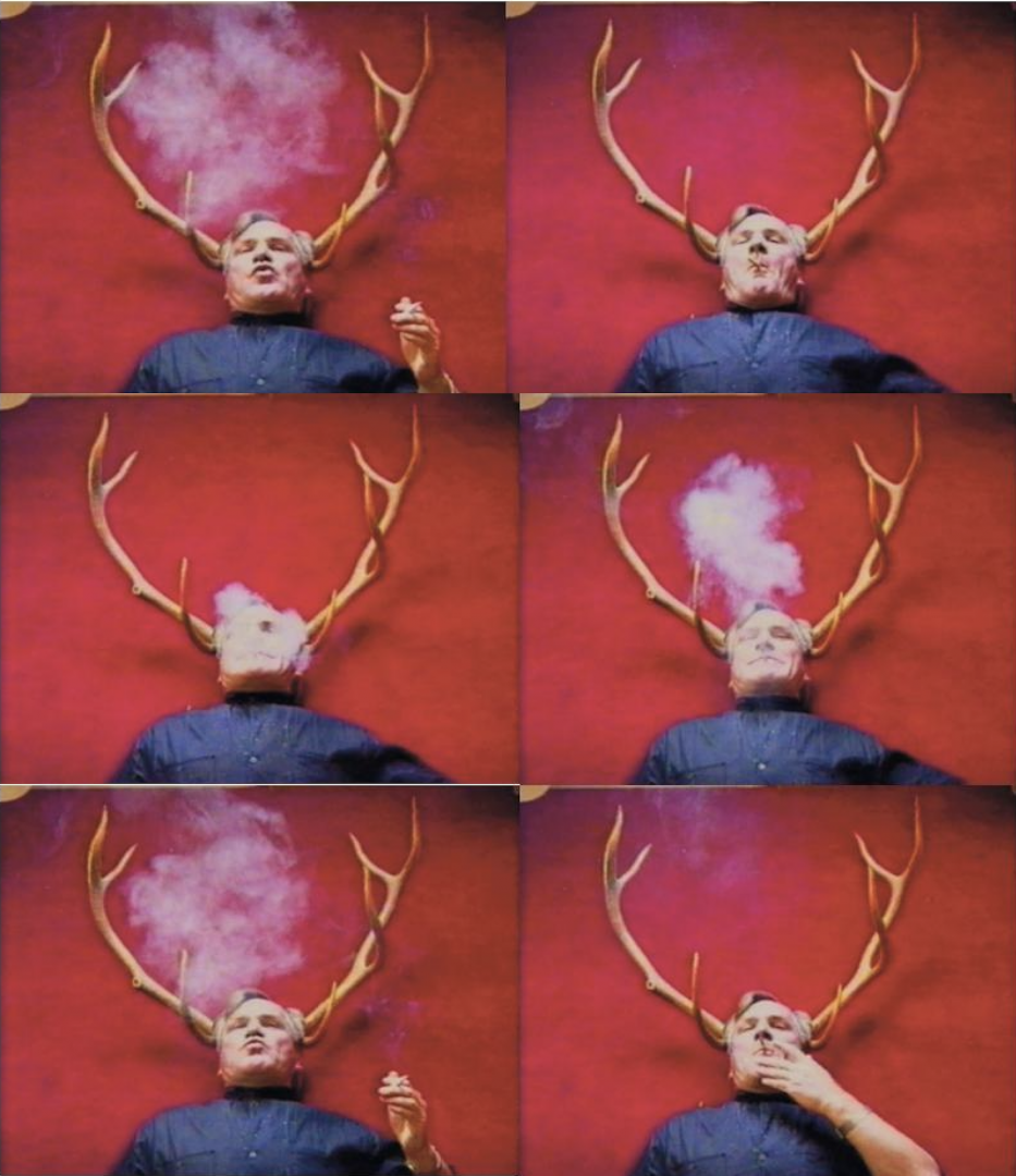 SLEEPING WITH A TIGER 8