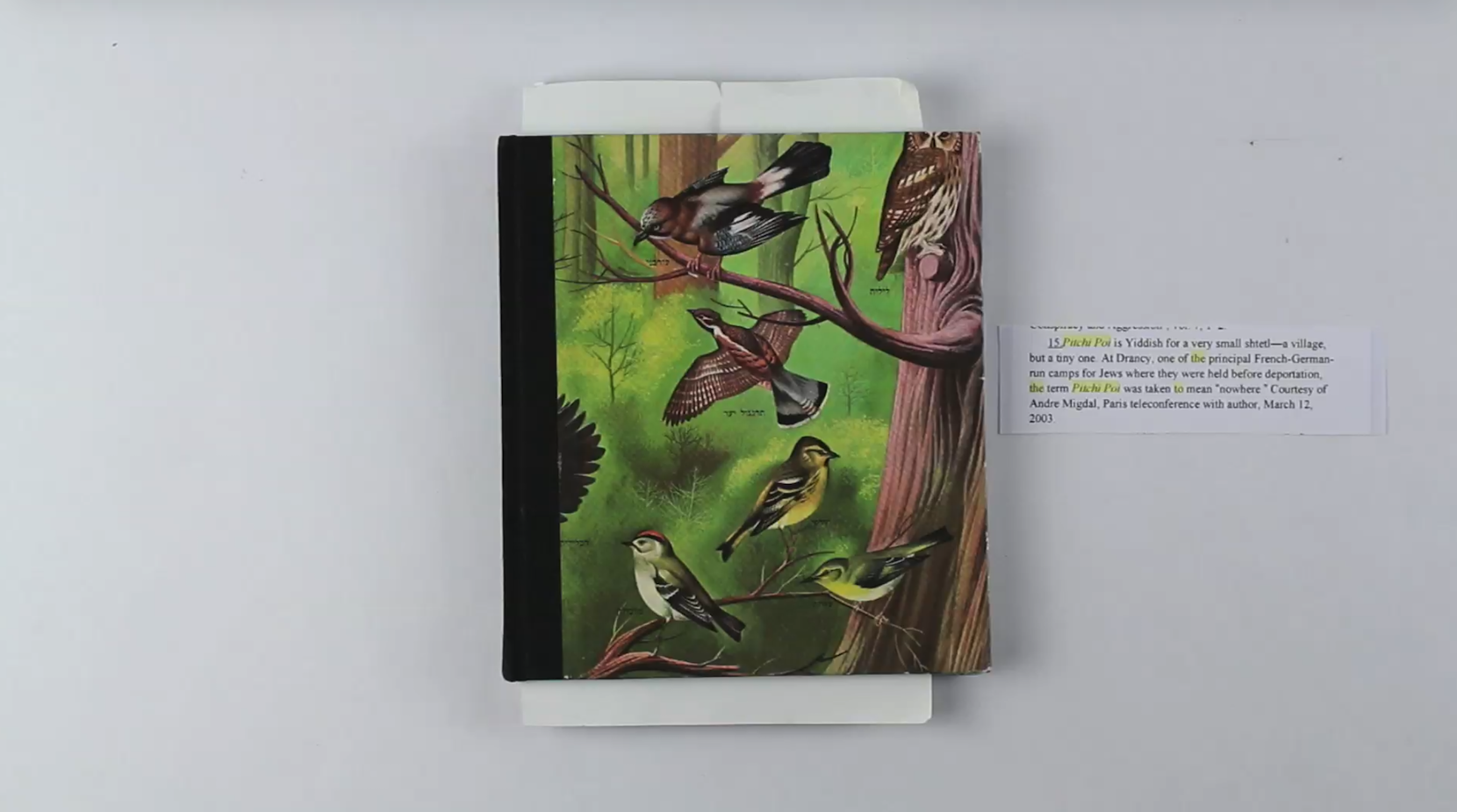 SHARON PAZ & ELIANNA RENNER 14