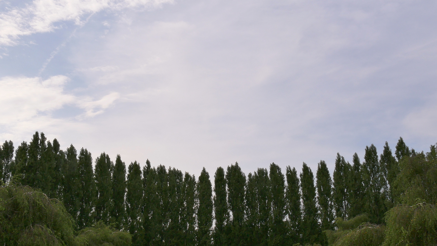 SHARON PAZ & ELIANNA RENNER 20